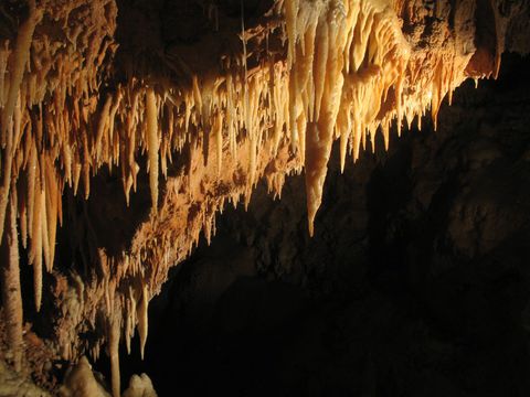 Stalaktiten in der Grotte de Saint-Marcel