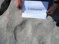 trittkarren