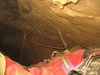 Baudin_005.jpg im Album Baudin