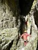 2015_04_Ardeche_033.jpg im Album Ardeche 2015