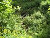 2012_Juratour1_006.jpg im Album franz. Jura Sommertour 1