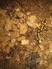 2012_Juratour1_016.jpg im Album franz. Jura Sommertour 1