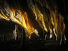 2012_Juratour1_020.jpg im Album franz. Jura Sommertour 1