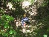 2012_Juratour1_039.jpg im Album franz. Jura Sommertour 1